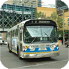ETS New Look buses
